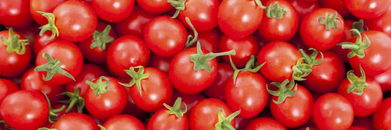Les tomates cerises se glissent dans vos paniers de fruits et légumes estivals chez votre primeur bordelais Au temps des fruits