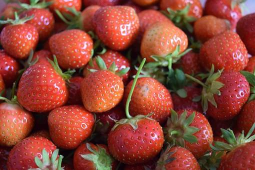 La fraise, fruit de saison en direct des producteurs, chez votre primeur à Bordeaux Fondaudège