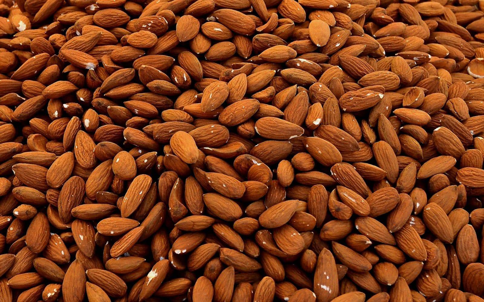 Achat de fruits secs ou de fruits confits Mérignac