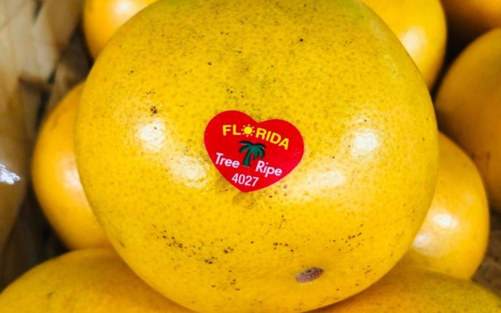 Acheter des compotes et des jus de fruits bio en épicerie fine Mérignac