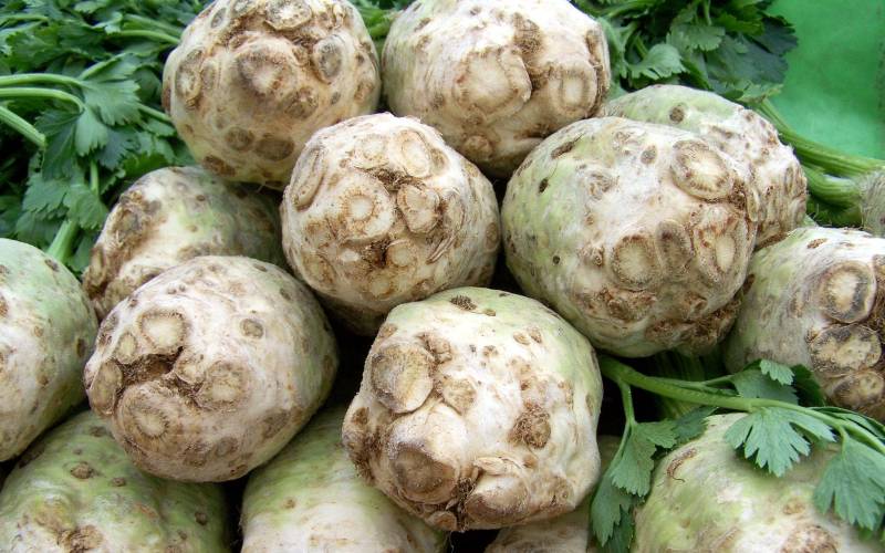 Légume céleri rave pour vos paniers légumes Bordeaux