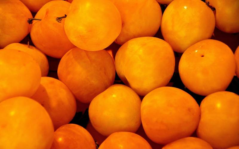 Vente mirabelles primeur Bordeaux