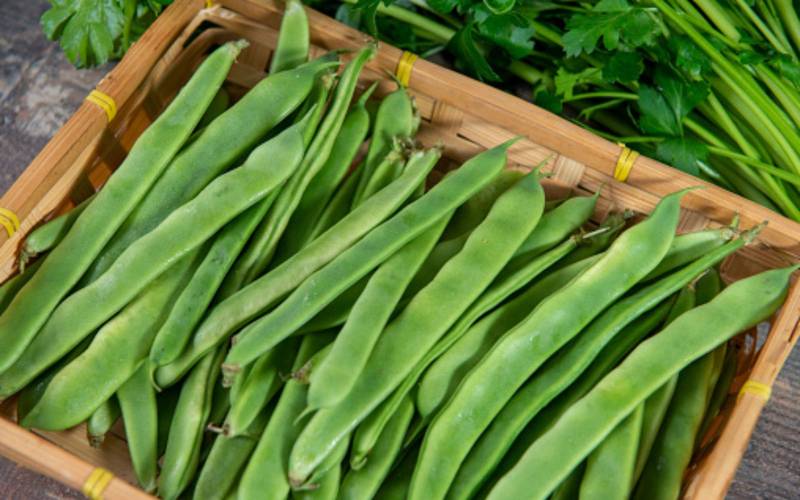 Vente haricotes palettes primeur Bordeaux