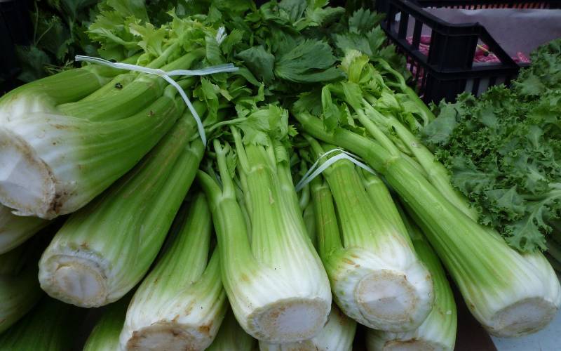 Vente de céleri en branche Bordeaux