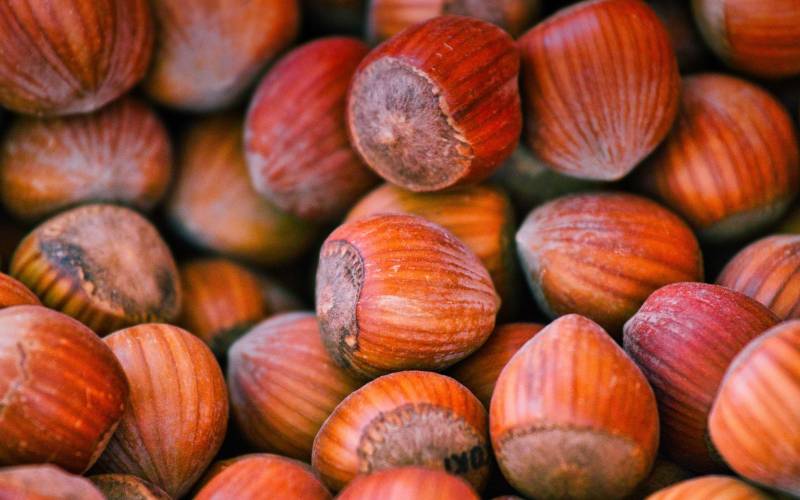 Noisettes primeur Bordeaux