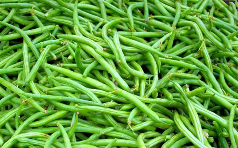 Vente des meilleurs haricots verts primeur Bordeaux