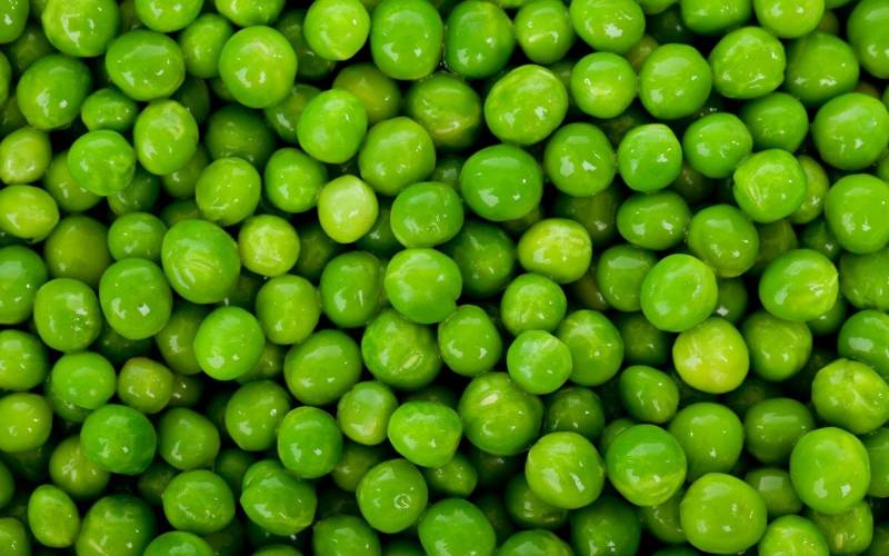 Petits pois primeur Bordeaux