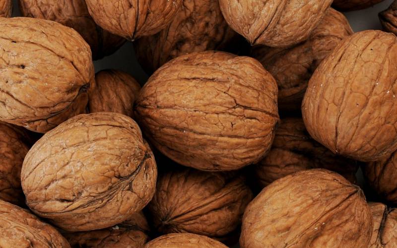 Noix primeur Bordeaux