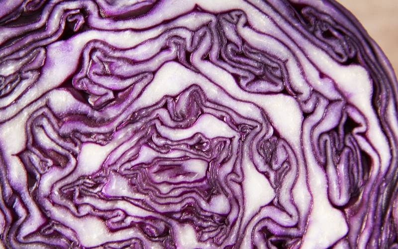 Chou rouge pour panier de fruits et légumes frais Bordeaux