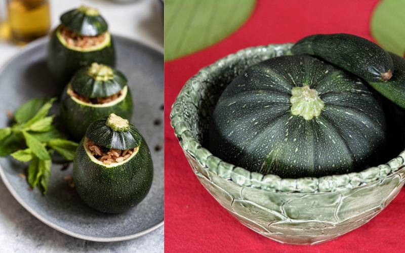 Recette courgette farcis Bordeaux