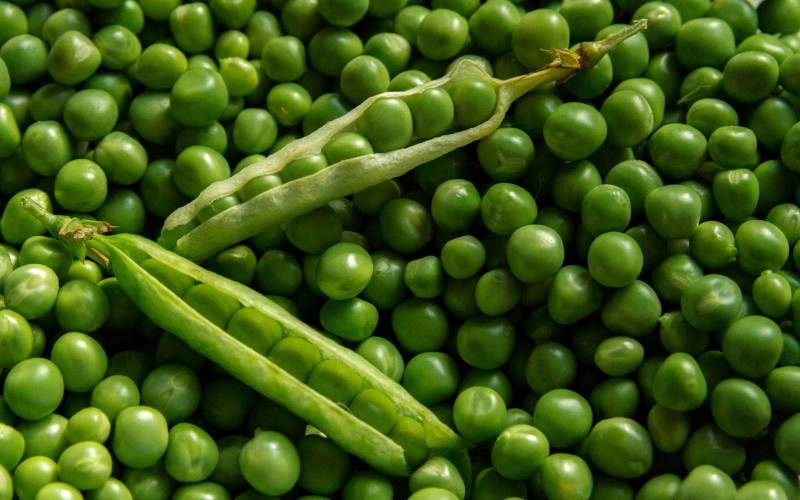 Vente de petits pois Bordeaux