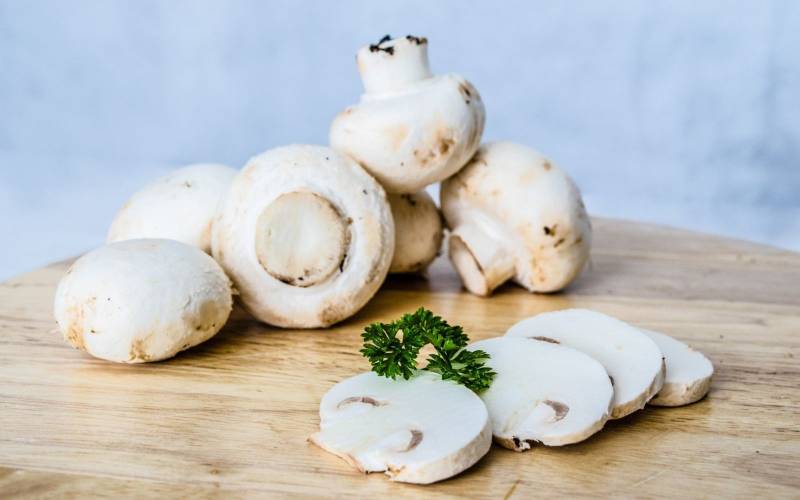 Champignon de Paris pour vos recettes Bordeaux