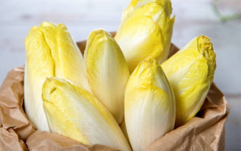 Vente endives primeur Bordeaux