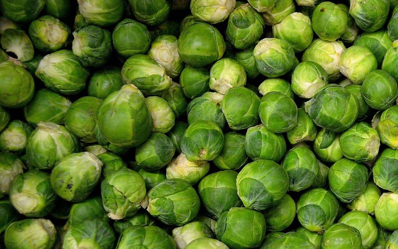 Vente de choux de Bruxelles de qualité sur Bordeaux