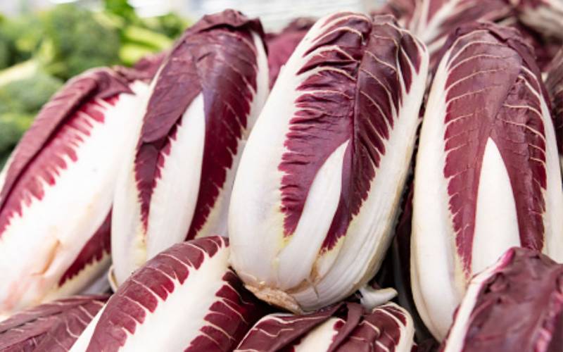 Vente endive carmine primeur Bordeaux