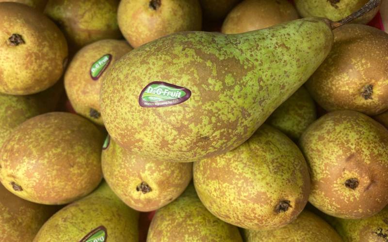 Vente Poire Conférence primeur Bordeaux