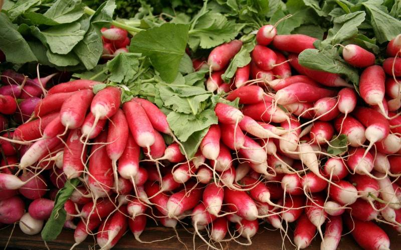 Légumes locaux Bordeaux