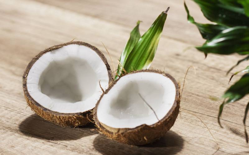 Noix de coco primeur Bordeaux