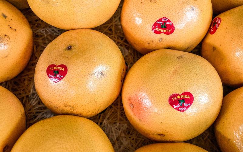 Le pomelo, agrume gourmand, est en vente chez votre primeur Au temps des fruits sur Bordeaux