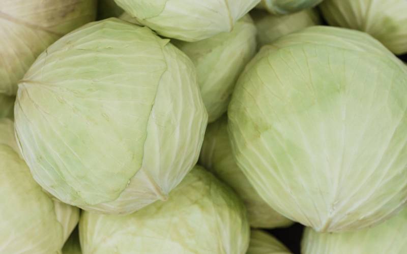Chou blanc local Bordeaux