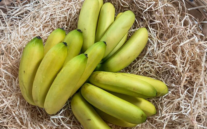 Vente banane freycinette primeur Bordeaux