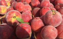 Nos prestations sur le secteur de Le Bouscat Gironde