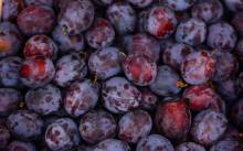 Nos prestations sur le secteur de Le Bouscat Gironde