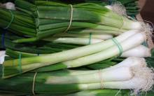 Notre zone d'activité pour ce service Primeur avec fruits et légumes frais de qualité