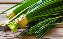 Nos prestations sur le secteur de Mérignac