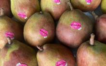 Notre zone d'activité pour ce service Primeur commande de paniers de fruits en entreprise avec ou sans abonnement