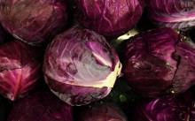 Nos prestations sur le secteur de Le Bouscat Gironde