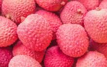 Nos prestations sur le secteur de Bordeaux Caudéran