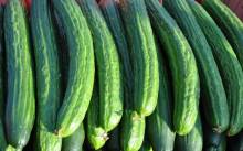 Notre zone d'activité pour ce service Commander une planche apéritif avec légumes découpés