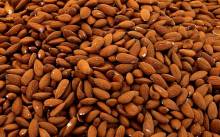 Nos prestations sur le secteur de Le Bouscat Gironde