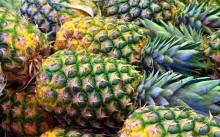 Notre zone d'activité pour ce service Achat d'agrumes et de fruits exotiques