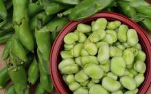 Nos prestations sur le secteur de Bordeaux Caudéran