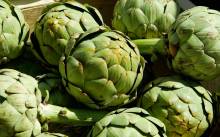 Notre zone d'activité pour ce service Vente de chou kale