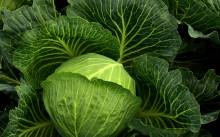 Nos prestations sur le secteur de Mérignac