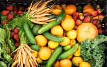 Nos prestations sur le secteur de Le Bouscat Gironde