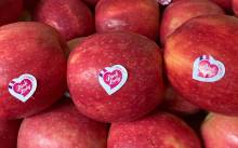 Nos prestations sur le secteur de Bordeaux Caudéran