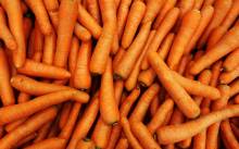 Nos prestations sur le secteur de Bordeaux Caudéran