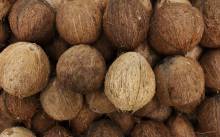 Notre zone d'activité pour ce service Primeur avec commande en ligne