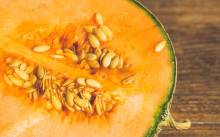 Nos prestations sur le secteur de Le Bouscat Gironde