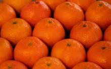 Notre zone d'activité pour ce service Vente de chou kale