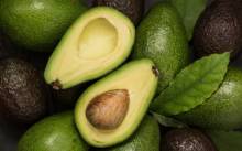 Nos prestations sur le secteur de Mérignac