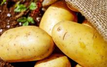 Notre zone d'activité pour ce service Acheter des compotes et des jus de fruits bio en épicerie fine