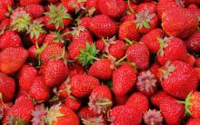 Nos prestations sur le secteur de Mérignac