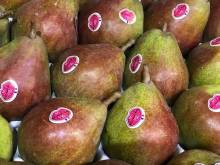 Notre zone d'activité pour ce service Épicerie fine pour acheter des produits du terroir