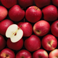 Nos prestations sur le secteur de Mérignac